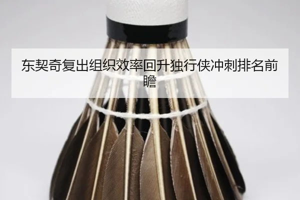 东契奇复出组织效率回升独行侠冲刺排名前瞻